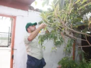 SAG lanza nueva campaña para controlar brote de mosca de la fruta en Monte Patria