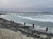 La pesca regional disputa 3ª fecha de la competencia 2025 (ATACAMA)