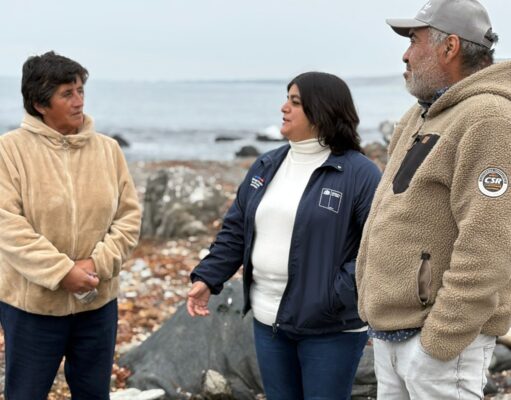 Gobierno en terreno en Caleta Los Bronces en Freirina