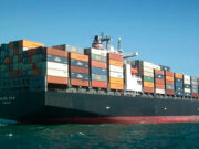 Exportaciones de la Región de Coquimbo crecieron un 46% en el primer semestre, impulsadas por uvas frescas y jibia