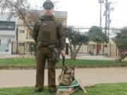 Dínamo, el perro policía que se despide tras más de 9 años de servicio en Carabineros