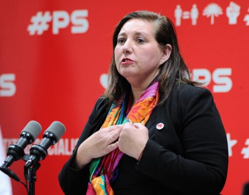 Vodanovic acusa «oportunismo político» de Matthei tras ofrecer equipos por arancel al cobre