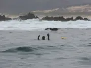 Buscan crear museo en Los Vilos para resguardar hallazgo arqueológico de más de 11.200 años