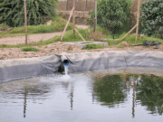 INDAP abre concurso para mejorar disponibilidad de riego