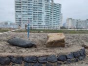 La Serena: descubren posible fuerte histórico junto al Faro Monumental