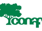 Más de 120 brigadistas se desplegarán en la Región de Coquimbo para prevenir y combatir incendios forestales