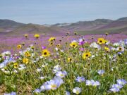 Por octava vez consecutiva el Desierto de Atacama es reconocido como Mejor Destino Romántico de Sudamérica
