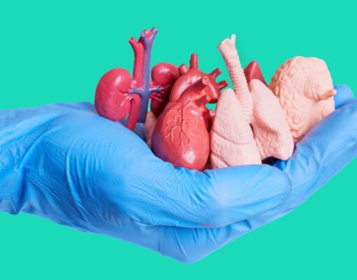 Región de Coquimbo alcanza histórica cifra de donantes en Chile