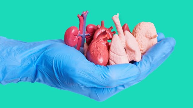 Como-ser-donante-de-organos-y-tejidos