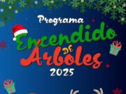 Vallenar da inicio anticipadamente su tradicional Programa de Encendido de Árboles 2025 con más de 30 celebraciones comunitarias