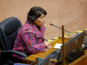 Provoste acusa a Manouchehri de usar Acusación Constitucional contra Ulloa con fines electorales