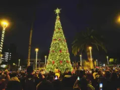 Familias repletan la Plaza de Armas en emotivo encendido del árbol navideño en Coquimbo
