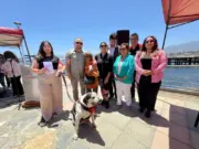 Los Vilos prepara gran celebración para recibir el Año Nuevo 2026 con shows pirotécnicos y música en vivo