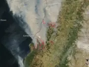 Incendios forestales en el Bío Bío afectan a más de 700 escolares y dañan siete establecimientos educacionales