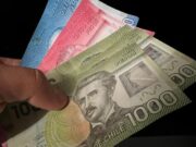 Este es el monto del Bono de Recuperación para familias afectadas por incendios forestales