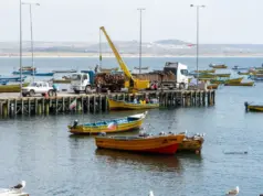 Último informe descarta toxina amnésica en Tongoy, pero restricción sanitaria continúa vigente