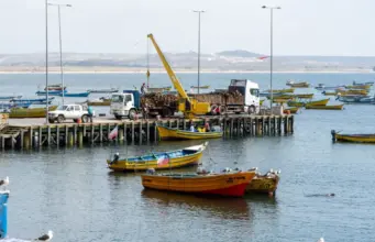 Último informe descarta toxina amnésica en Tongoy, pero restricción sanitaria continúa vigente