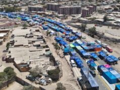 Municipalidad de Copiapó destaca fluidez y alta participación en la venta online de puestos de la Candelaria 2026