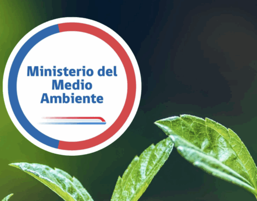 Gobierno retira 43 decretos ambientales en revisión desde Contraloría