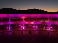 Municipalidad de Copiapó se suma al Día Púrpura iluminando su edificio para concientizar sobre la epilepsia