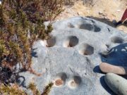 Tongoy potencia su patrimonio con rutas guiadas a petroglifos ancestrales