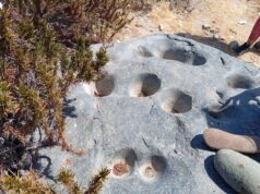 Tongoy potencia su patrimonio con rutas guiadas a petroglifos ancestrales