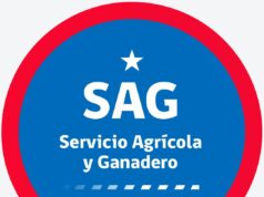 SAG refuerza vigilancia sanitaria tras detectar primer caso de anemia infecciosa equina en Atacama