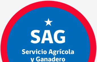 SAG refuerza vigilancia sanitaria tras detectar primer caso de anemia infecciosa equina en Atacama