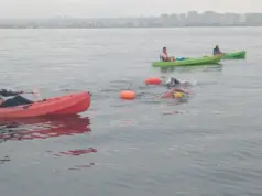 Travesía histórica en la bahía: nadadores unen La Serena y Coquimbo en 3 horas y 6 minutos