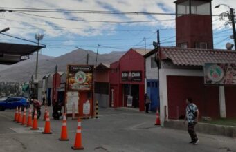 Locatarios de El Agro de Copiapó refuerzan medidas ante brote de mosca de la fruta