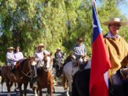 Vicuña revive la tradicional Fiesta de Cuasimodo con amplia participación comunitaria