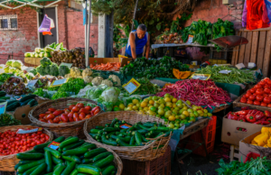 Nueva ley reduce impuestos a feriantes y podría traducirse en precios más bajos
