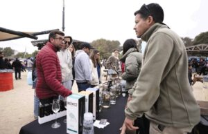 Panoramas imperdibles en Semana Santa: Guanaqueros celebra su Vendimia frente al mar
