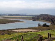 Inician nuevo estudio del Humedal Las Salinas para resguardar su equilibrio ecosistémico