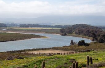Inician nuevo estudio del Humedal Las Salinas para resguardar su equilibrio ecosistémico