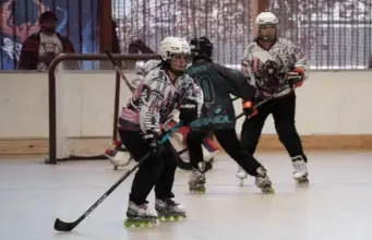 La Serena recibirá la primera fecha de la Liga Nacional de Hockey en Línea