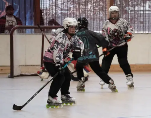 La Serena recibirá la primera fecha de la Liga Nacional de Hockey en Línea