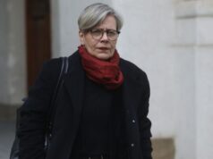 Lorena Fries presiona por dividir ley de reconstrucción y advierte tensiones con el Gobierno