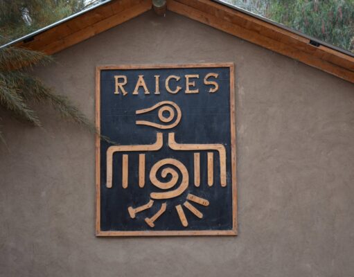 Agroturismo Raíces: patrimonio rural, naturaleza e inclusión en Alto del Carmen