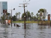 Tarapacá espera precipitaciones en sectores cordilleranos y de la pampa: lluvias costeras fueron descartadas