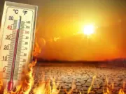 Tras las intensas lluvias, Atacama se prepara para temperaturas sobre los 30 grados durante los próximos días